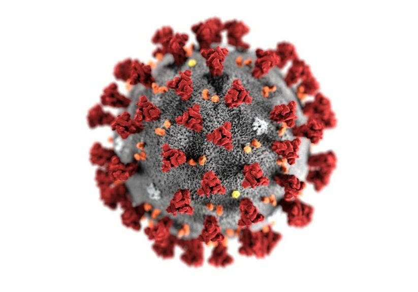virus-picture-1-scaled